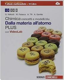 Chimica concetti e modelli .blu