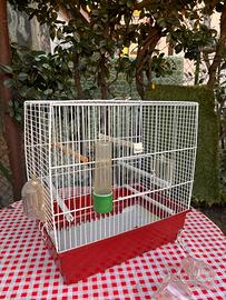 Gabbietta per uccelli