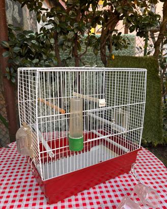 Gabbietta per uccelli