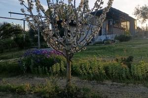 Terreno agricolo