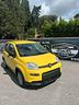 fiat-panda-1-0-firefly-s-s-hybrid-pandina