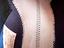Immagine 6