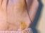 Immagine 6