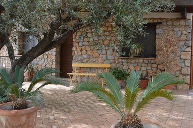 Vieni a Marina di Camerota