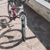 bicicletta da bambino
