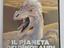 Immagine 3