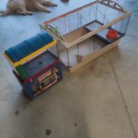 Gabbia coniglietti e acquario 