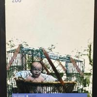 Libro ZOO di Isabella Santacroce