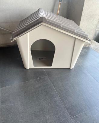 CUCCIA PER CANE MAI USATA