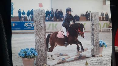 Pony 115 - agonismo