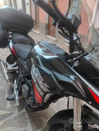 Benelli tek 251