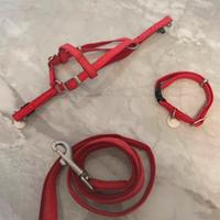 Set guinzaglio, collare e pettorina