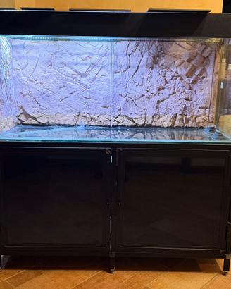 Acquario 300l