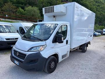 FIAT SOLO COMMERCIANTI(capacità 8 bancali) DUCA