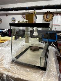 Terrario per tartarughe