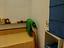 Immagine 26