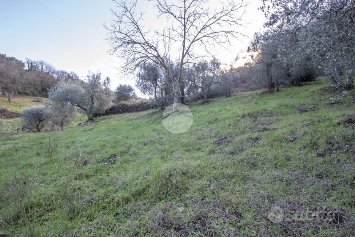 TER. AGRICOLO A PALOMBARA SABINA - Vista 5