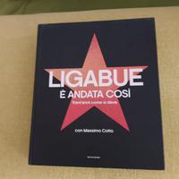 Libro ligabue