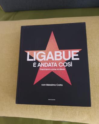Libro ligabue