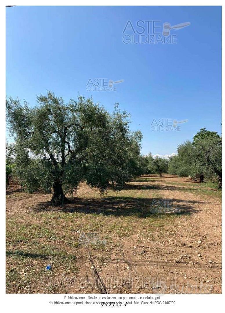 Terreno Agricolo Bitonto [A4354217] - Vista 4