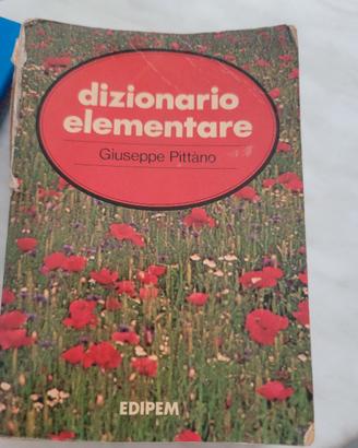 dizionari