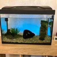 Acquario 40 lt