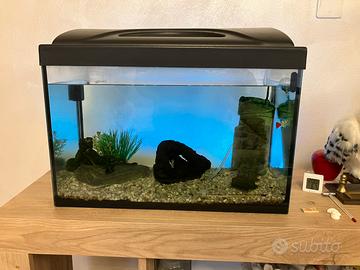 Acquario 40 lt