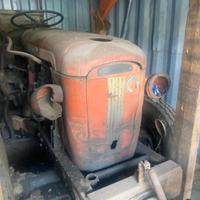 Trattore Same Puledro