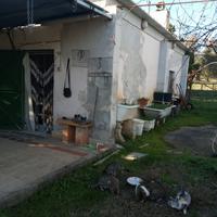 Terreno con Fabbricati e Uliveto