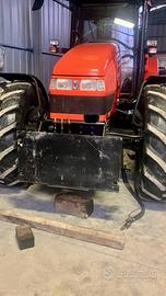 Attacco lama da neve