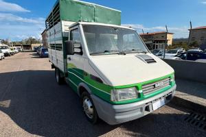 IVECO DAILY TRASPORTO ANIMALI