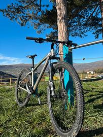 Bianchi Kuma 29 M