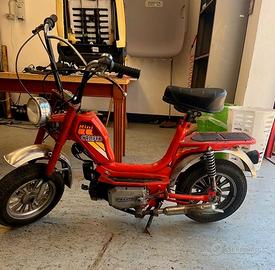 Mini califfo 50 cc con Libretto