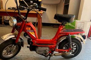 Mini califfo 50 cc con Libretto