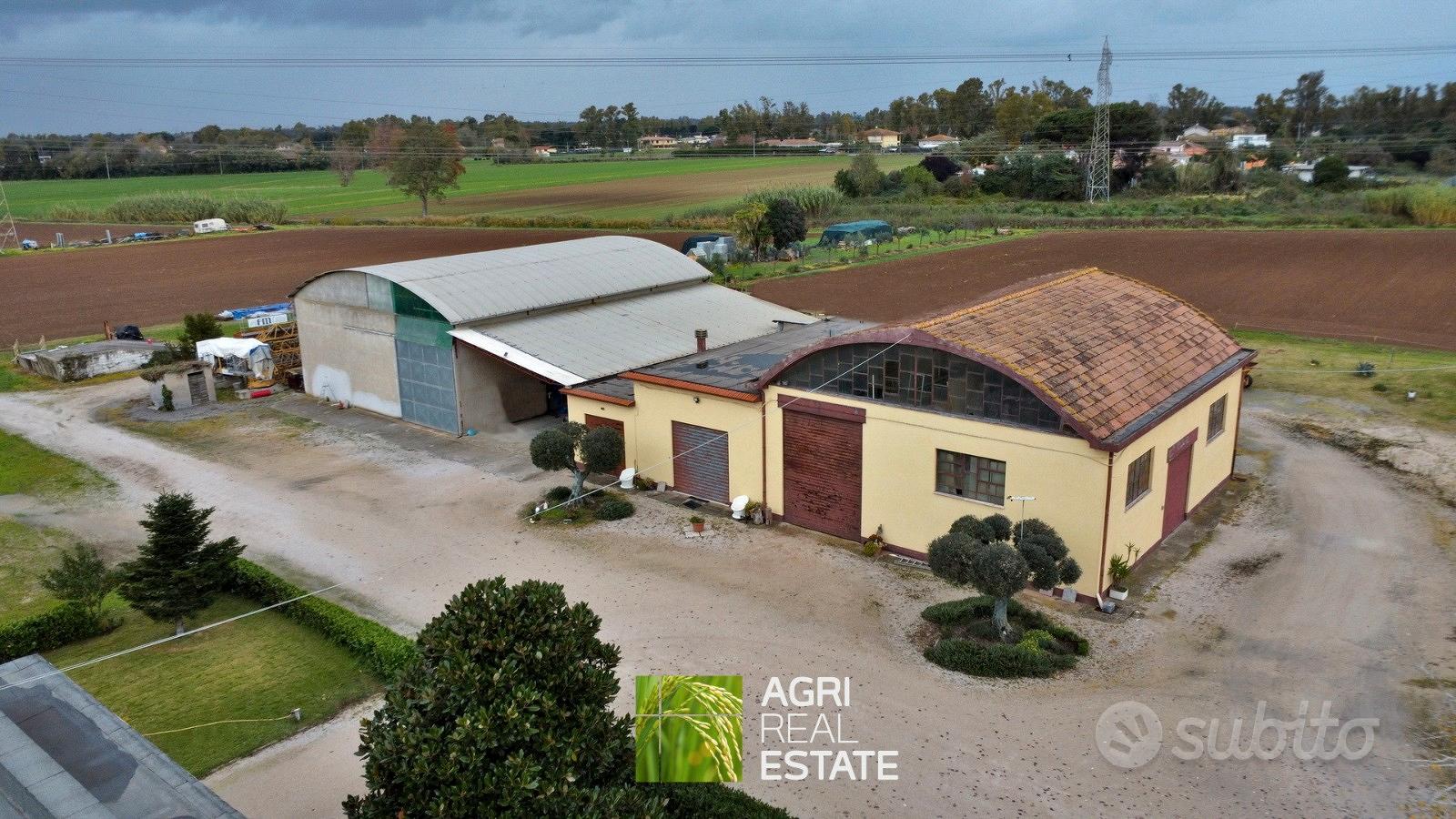Terreno agricolo 3,2 HA con capannone 700 mq - Vista 4