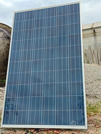 (x24) Pannelli fotovoltaici FUTURA da 250Watt