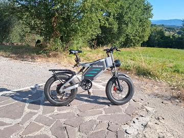bici elettrica RZOGWEZ