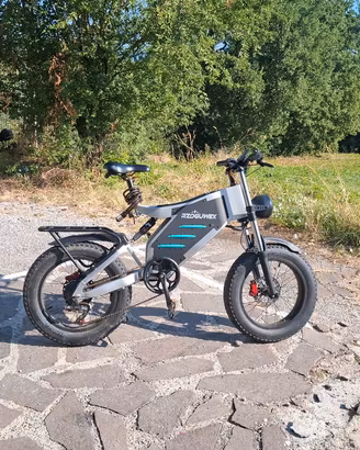 bici elettrica RZOGWEZ