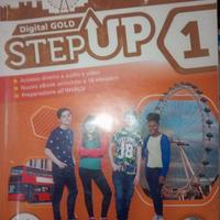 Step up 1