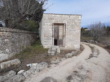 Terreno con Abitazione Rustica