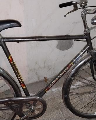 bici da uomo regina veneta