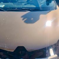 Cofano Renault Captur