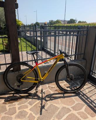 Mtb carbonio front 29 taglia S