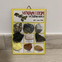 Collezione di minerali