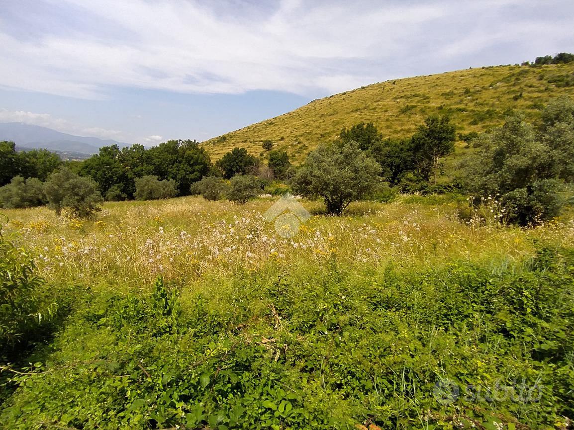 TER. AGRICOLO A PIEDIMONTE SAN GERMANO - Vista 4