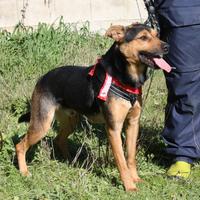 Vuoi essere la mia famiglia? chiama per me