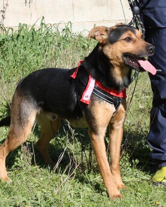 Vuoi essere la mia famiglia? chiama per me