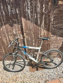 Bicicletta mountain bike