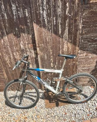 Bicicletta mountain bike