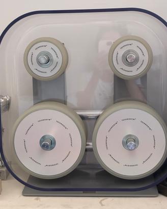 Set pesi Technogym con rack – pari al nuovo